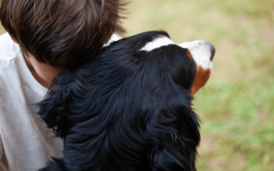 Luto pela perda de um pet: como lidar?