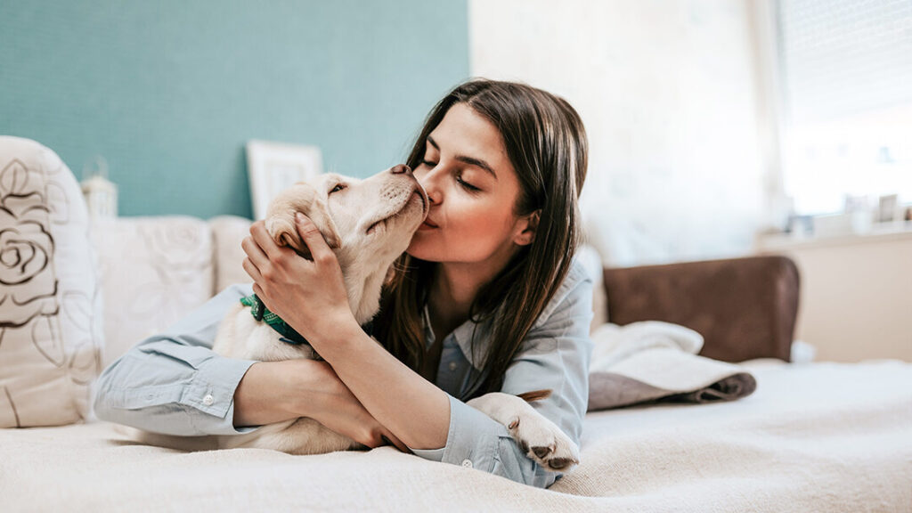 vacinação para cães