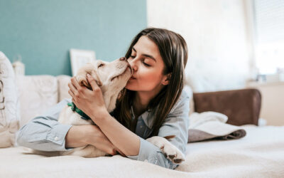 Vacinação para cães: cuidados e dicas