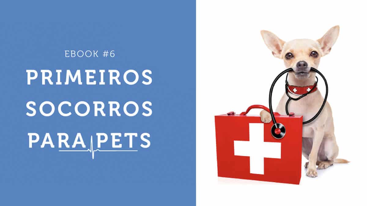 Primeiros Socorros para Pets