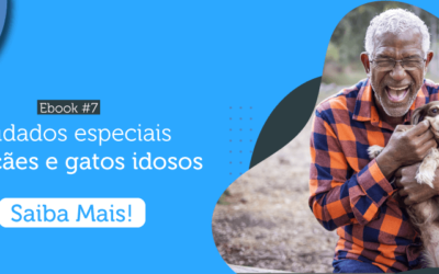 Novo Ebook: Cuidados especiais com cães e gatos idosos