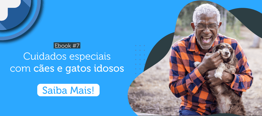 Novo Ebook: Cuidados especiais com cães e gatos idosos