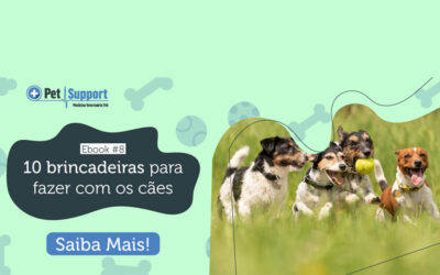 Ebook: 10 brincadeiras para fazer com os cães