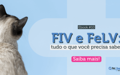 FIV e FeLV: tudo o que você precisa saber