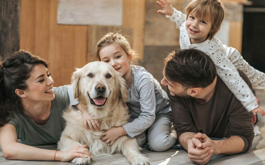 Cachorro: quais raças procurar?