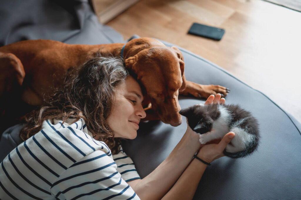 Câncer de próstata em cães e gatos