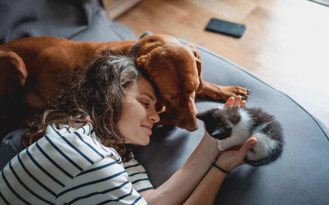 Câncer de próstata em cães e gatos: prevenção e diagnóstico