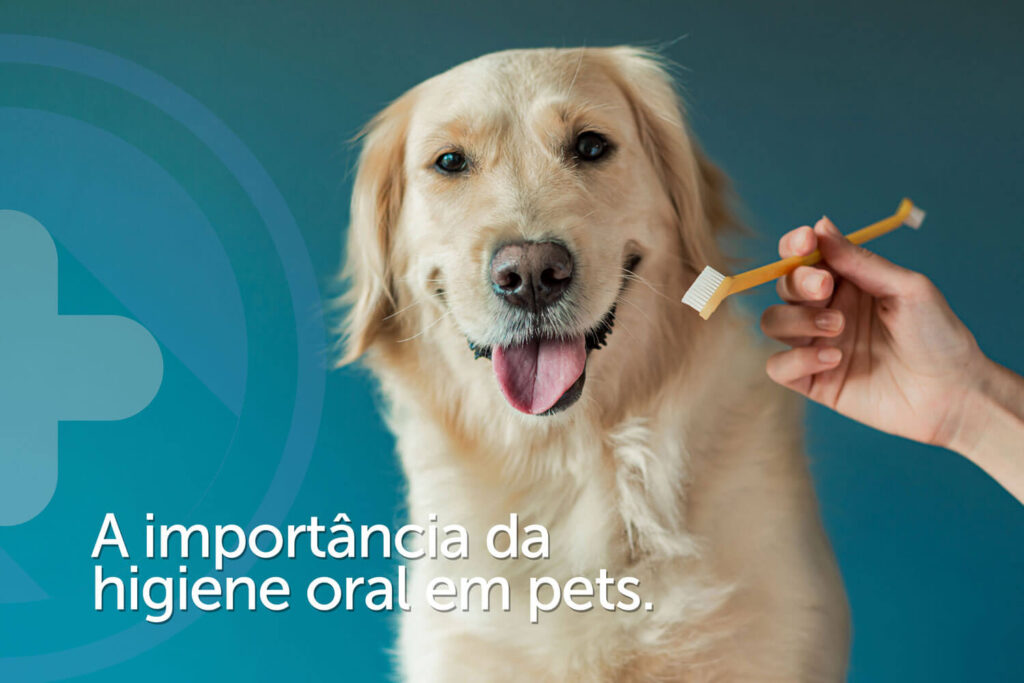 doença periodontal em cães e gatos